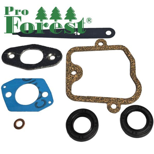 Tiivistesarja Stihl BR800 (sis. stefat)