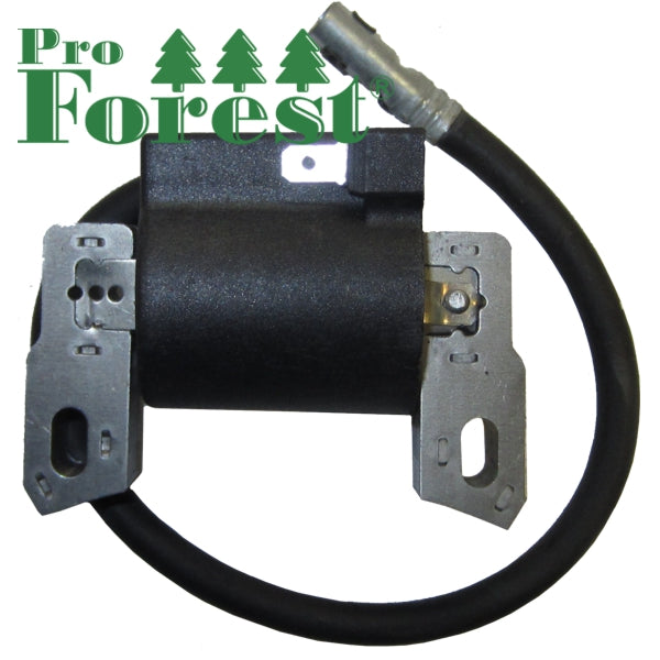 Puola Briggs & Stratton #590455