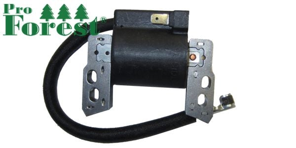 Puola Briggs & Stratton #796964