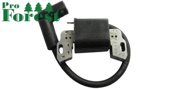 Puola Briggs & Stratton #593872, 799582