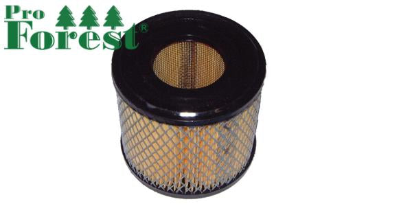Ilmansuodatin Briggs & Stratton #393957S