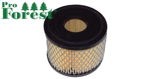 Ilmansuodatin Briggs & Stratton #390492