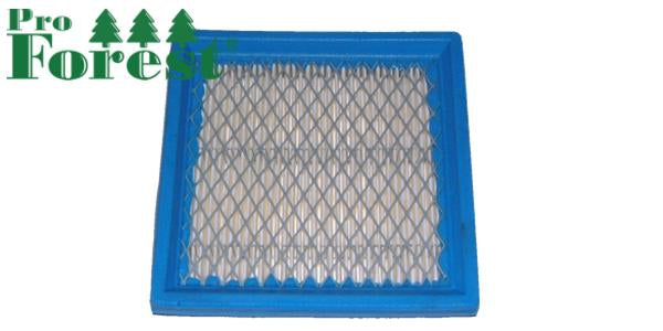 Ilmansuodatin Briggs & Stratton #399877S