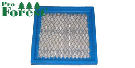 Ilmansuodatin Briggs & Stratton #399877S