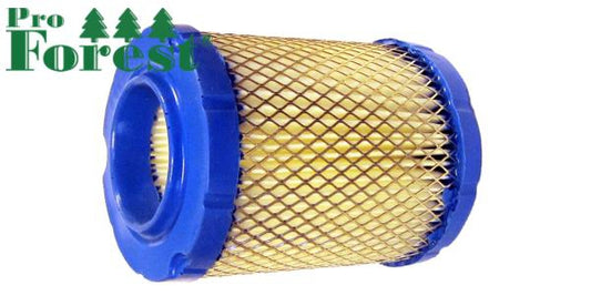 Ilmansuodatin Briggs & Stratton 3000-series