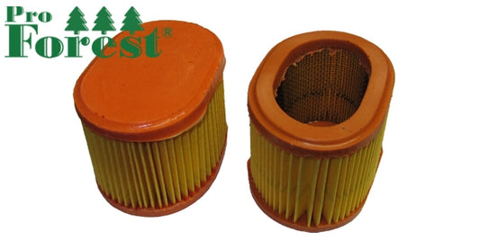 Ilmansuodatin Briggs & Stratton #790166