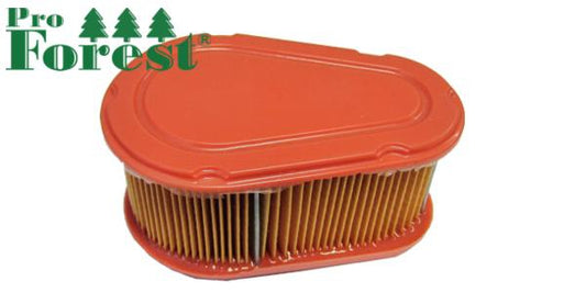 Ilmansuodatin Briggs & Stratton