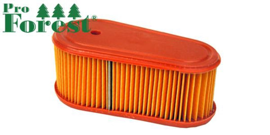 Ilmansuodatin Briggs & Stratton #795066