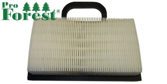Ilmansuodatin Briggs & Stratton #499486S