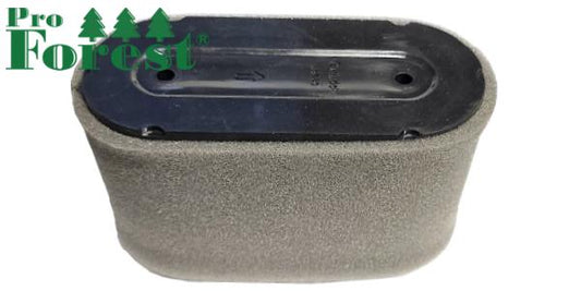 Ilmansuodatin Loncin LC1P85FA