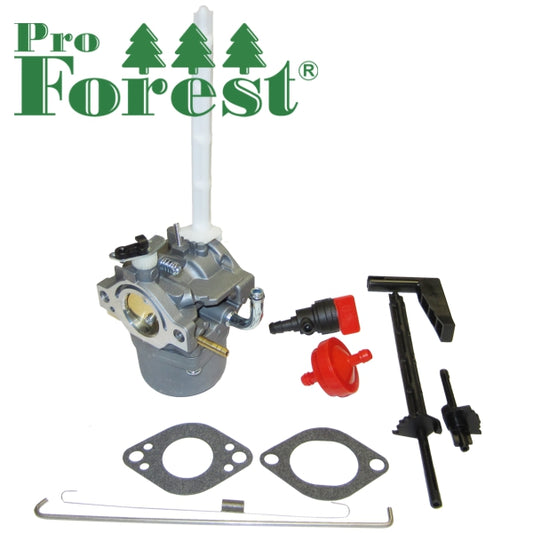 Kaasutin Briggs & Stratton #796122