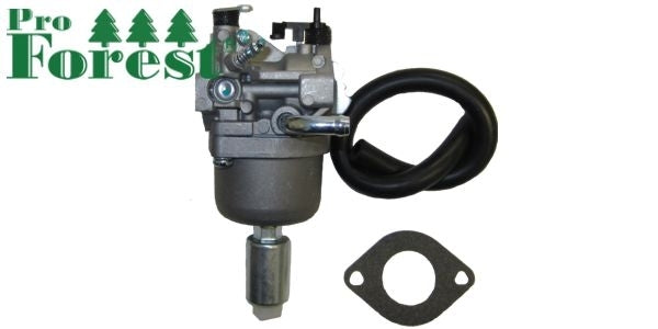 Kaasutin Briggs & Stratton #590400, 796078