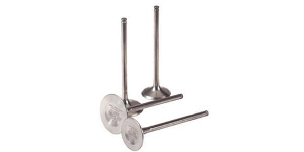 Pakoventtiili Briggs & Stratton #691794