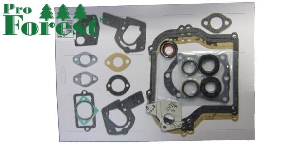 Tiivistesarja Briggs & Stratton #495603