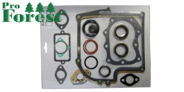 Tiivistesarja Briggs & Stratton #299577 (sis. stefat)