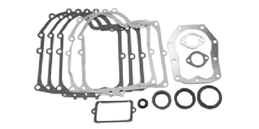 Tiivistesarja Briggs & Stratton #494241