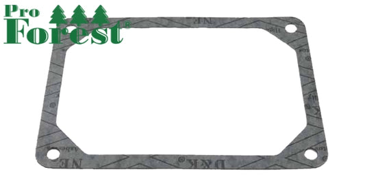 Tiiviste Briggs & Stratton #272475S