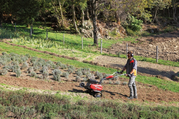 Efco MZ2098RKS puutarhajyrsin 2+1