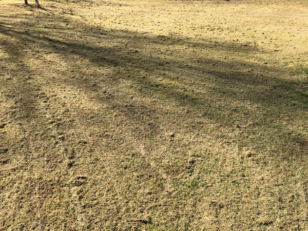 Ilmastointerä ruohonleikkuriin