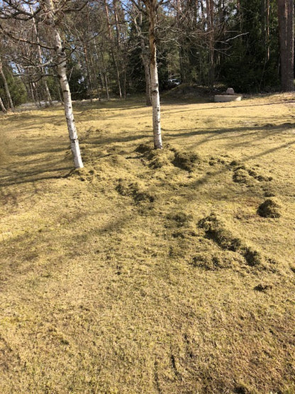 Ilmastointiterä ruohonleikkuriin