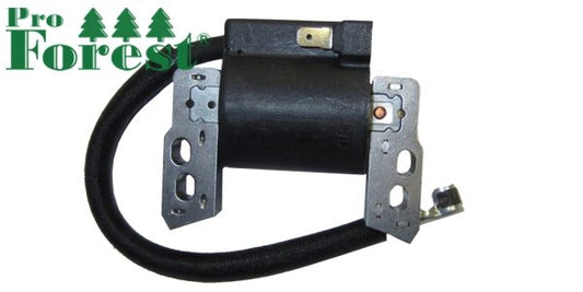 Puola Briggs & Stratton #796964