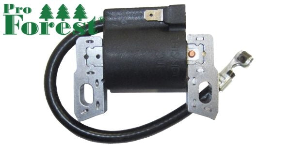 Puola Briggs & Stratton #595554, 796499