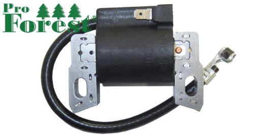 Puola Briggs & Stratton #595554, 796499