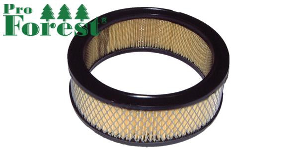 Ilmansuodatin Briggs & Stratton #394018S