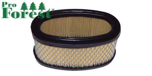 Ilmansuodatin Briggs & Stratton #393725