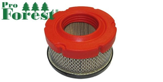 Ilmansuodatin Briggs & Stratton #797819