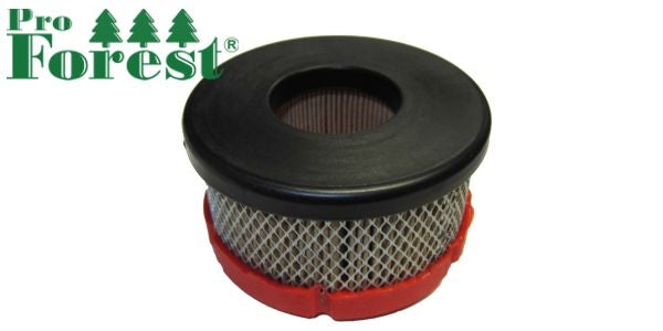 Ilmansuodatin Briggs & Stratton #797819