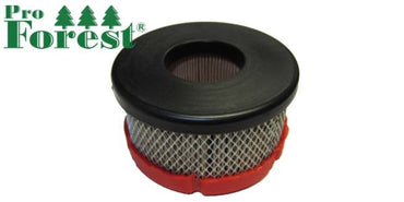 Ilmansuodatin Briggs & Stratton #797819