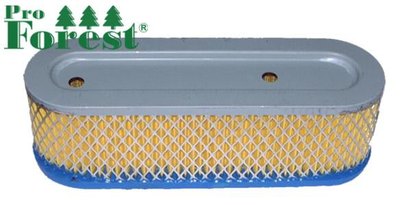 Ilmansuodatin Briggs & Stratton #399806S