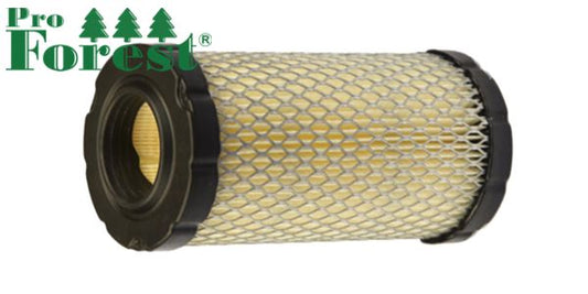 Ilmansuodatin Briggs & Stratton #793569