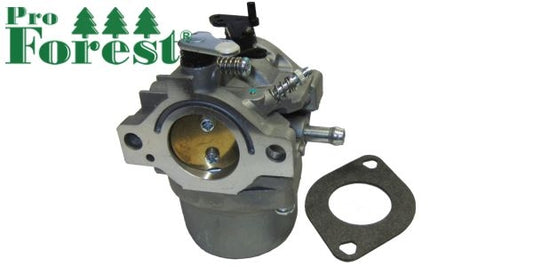 Kaasutin Briggs & Stratton #799728