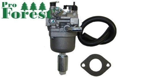 Kaasutin Briggs & Stratton #590400, 796078