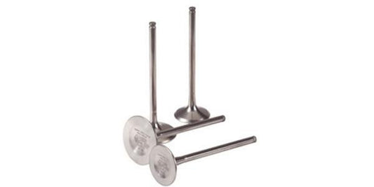 Pakoventtiili Briggs & Stratton #691794