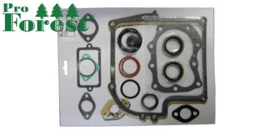 Tiivistesarja Briggs & Stratton #299577 (sis. stefat)