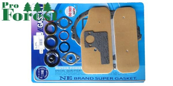 Tiivistesarja Briggs & Stratton #393411