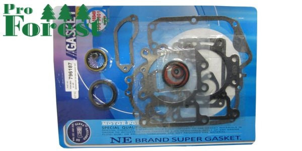 Tiivistesarja Briggs & Stratton 31-sarja #796187 (sis. stef