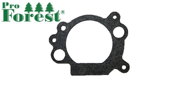 Tiiviste Briggs & Stratton #692667