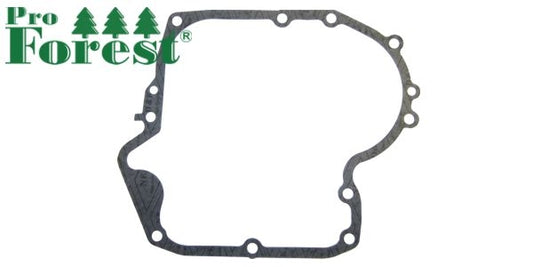 Tiiviste Briggs & Stratton #697110