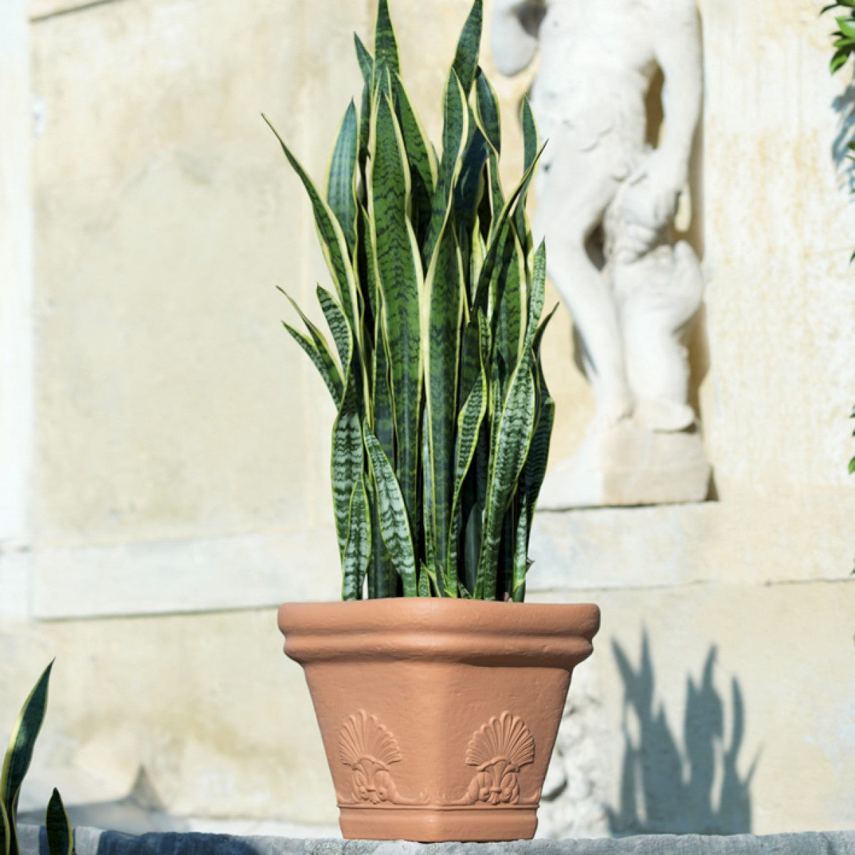 Ruukku Zeus 45 DiMartino aluslautasella, terracotta