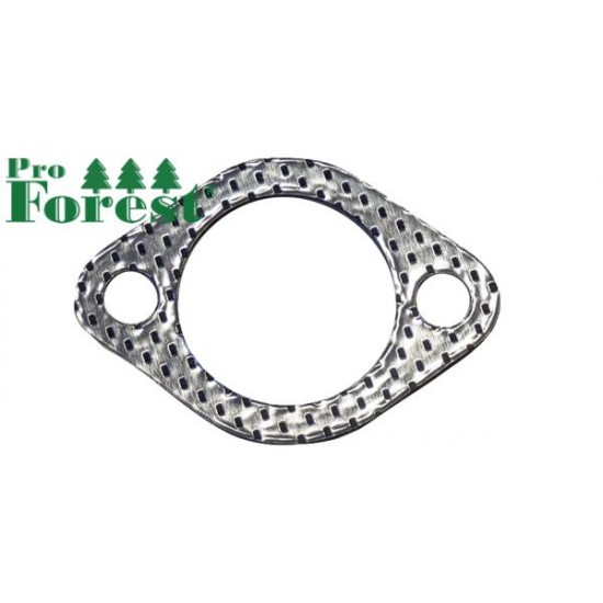  Pakotiiviste Briggs & Stratton #692236