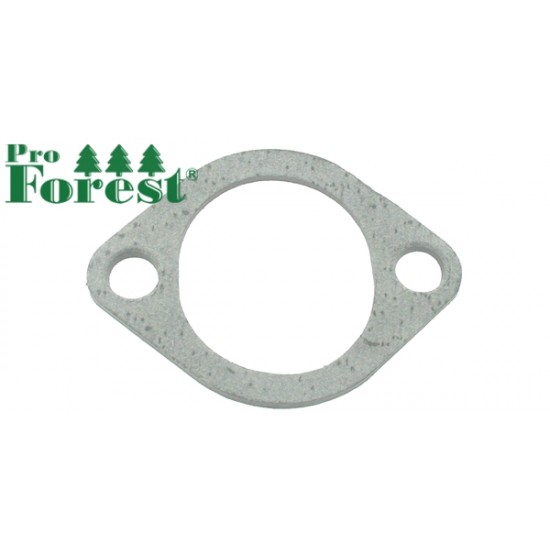  Tiiviste Briggs & Stratton #272554