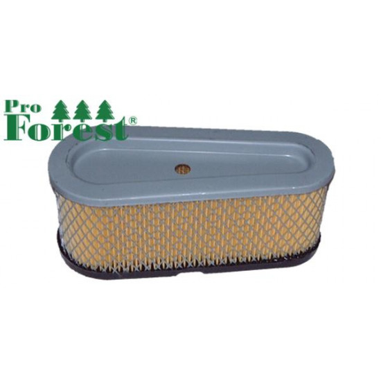  Ilmansuodatin Briggs & Stratton #496894S