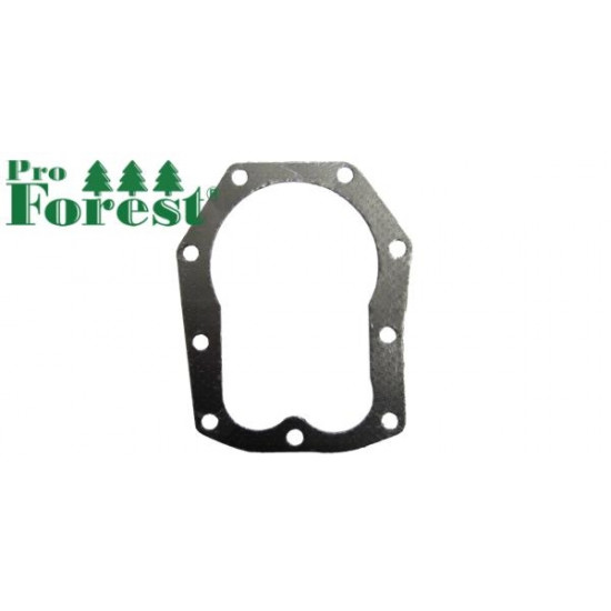  Kansitiiviste Briggs & Stratton #271866