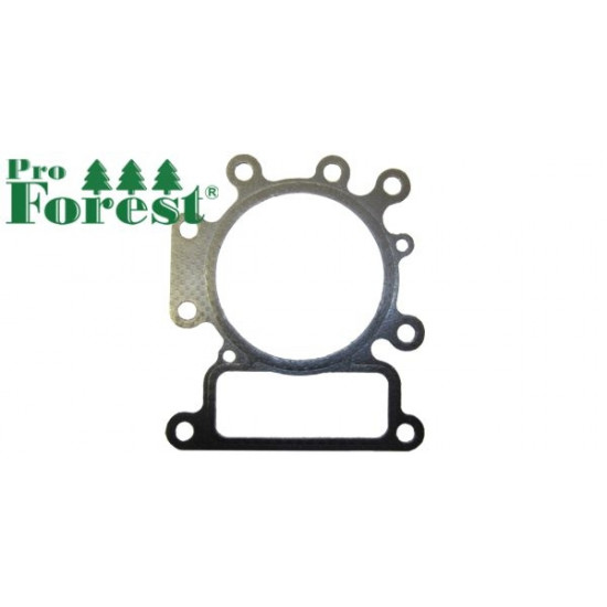  Kansitiiviste Briggs & Stratton #796584