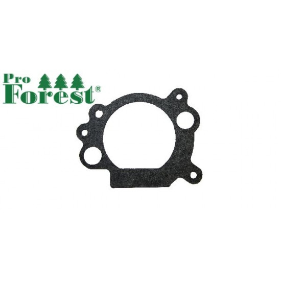  Tiiviste Briggs & Stratton #692667