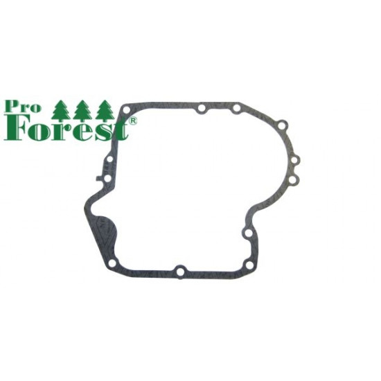  Tiiviste Briggs & Stratton #697110